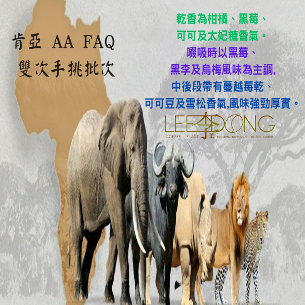 肯亞 AA FAQ （精品級手挑版） 鮮烘培 手挑豆 鮮烘 德國PROBAT AI色選機 李董咖啡