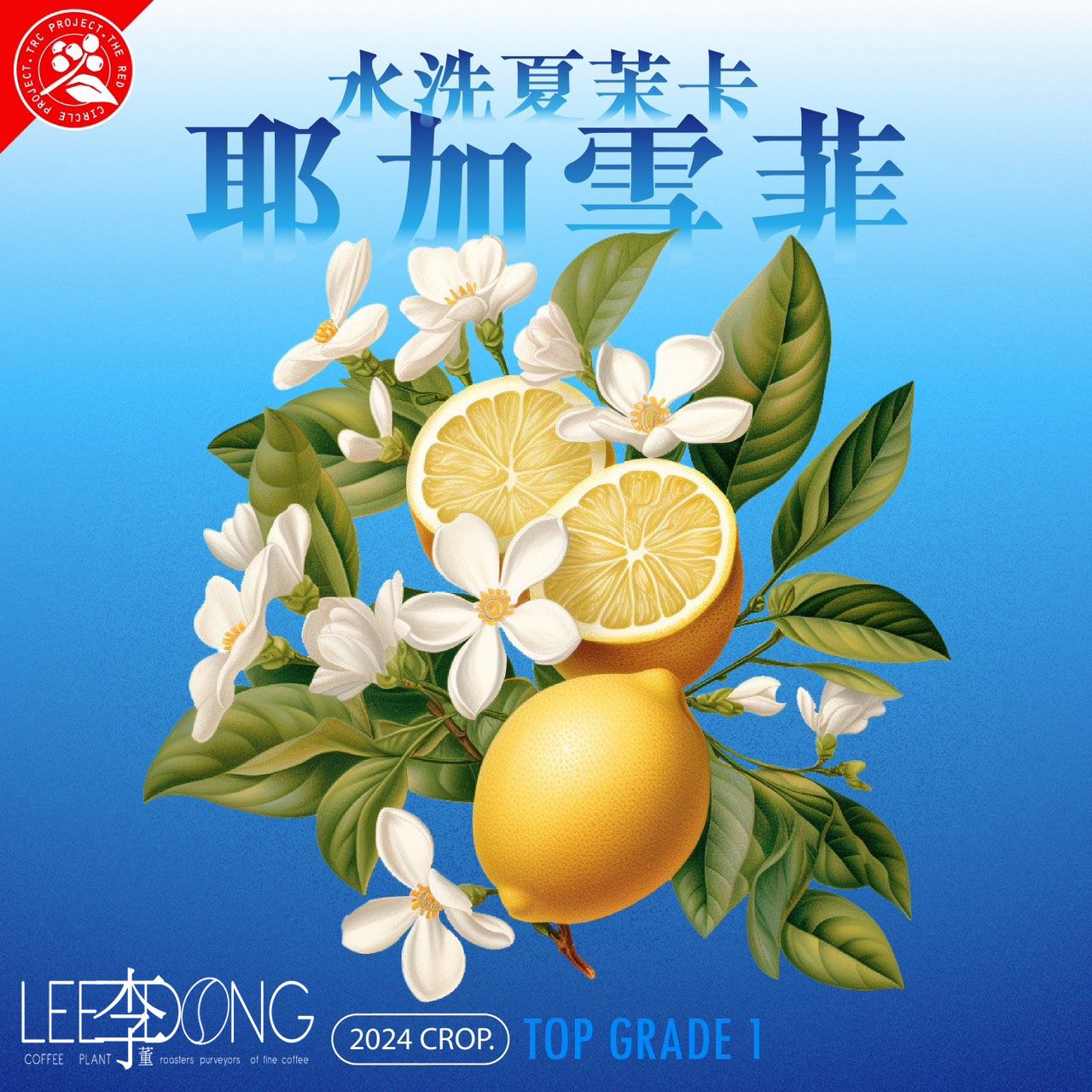 衣索比亞 耶加雪菲  頂級TOP G1 74110 夏茉卡 日曬 水洗  鮮烘 德國 Probat 李董咖啡 CR90