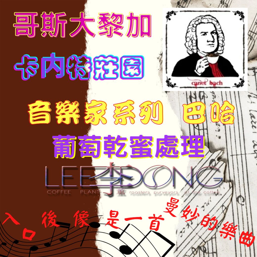哥斯大黎加 塔拉珠 卡内特莊園  音樂家系列 莫札特 蕭邦 巴哈 葡萄乾蜜 貝多芬酵素水洗
