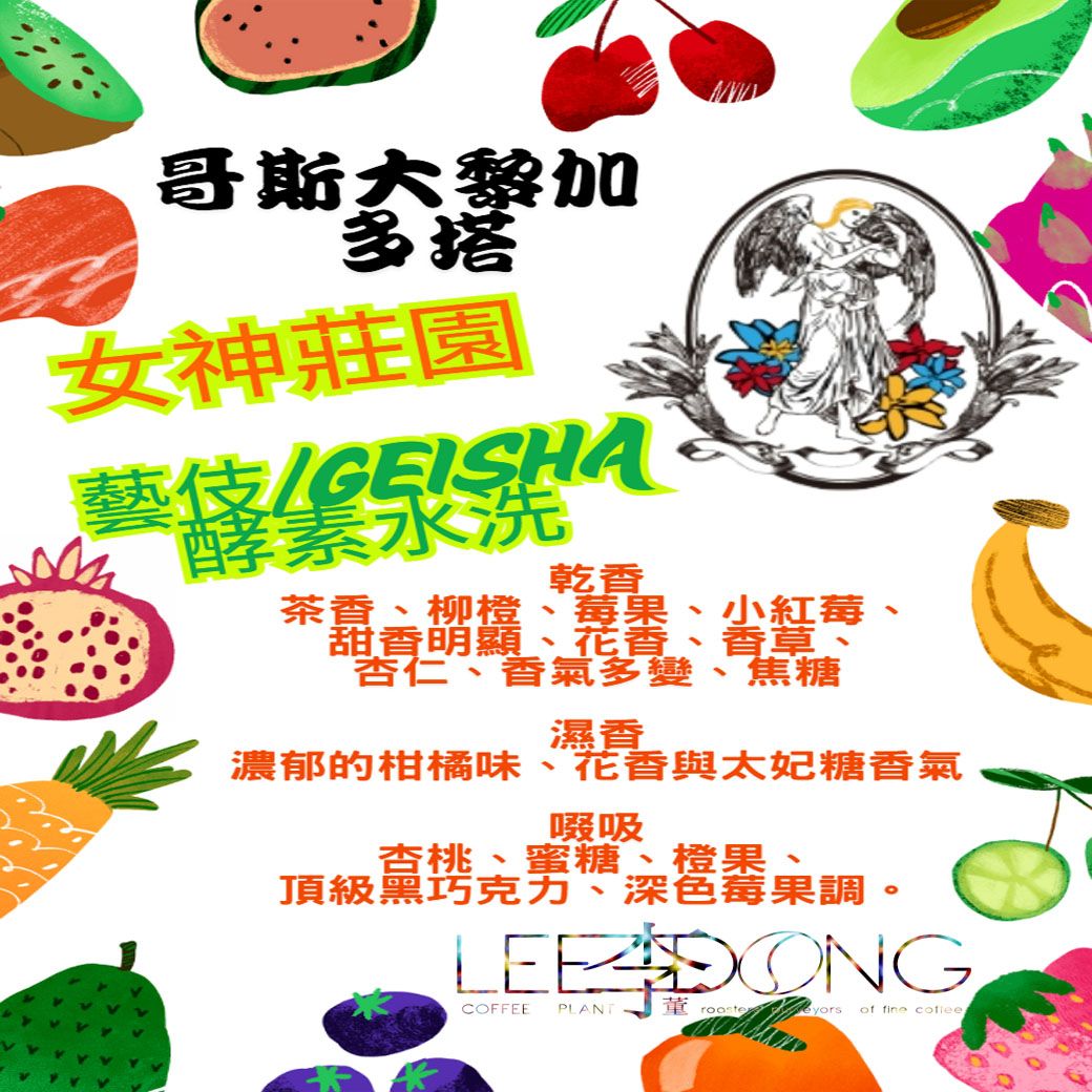 哥斯大黎加 多塔  女神莊園  藝伎/GEISHA 酵素水洗 德國 PROBAT AI色選機 李董咖啡