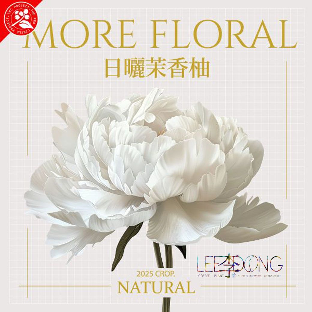 衣索比亞 烏拉嘎 G1  可如蜜 茉香柚 厭氧日曬 日曬 白蜜 手挑 鮮烘 德國 PROBAT AI色選機 李董咖啡