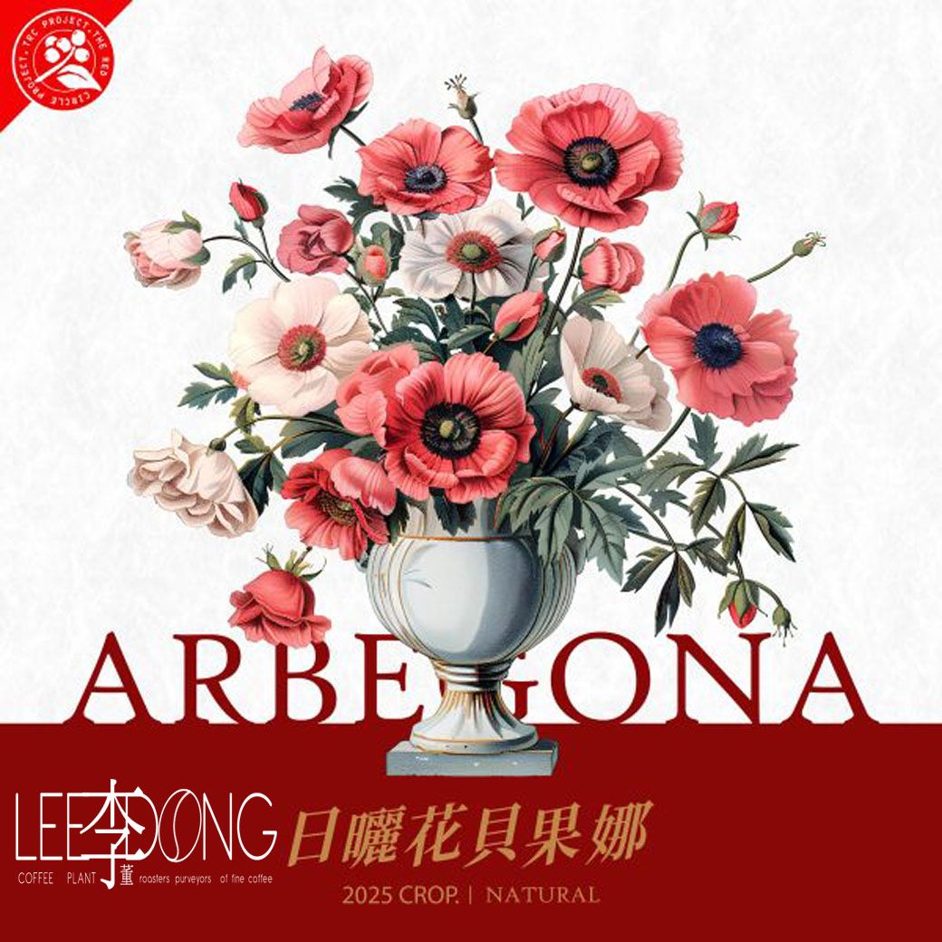 衣索比亞 西達摩  花貝果娜  74158 日曬 黃蜜 水洗 德國PROBAT 鮮烘 AI色選機 李董咖啡 CR94