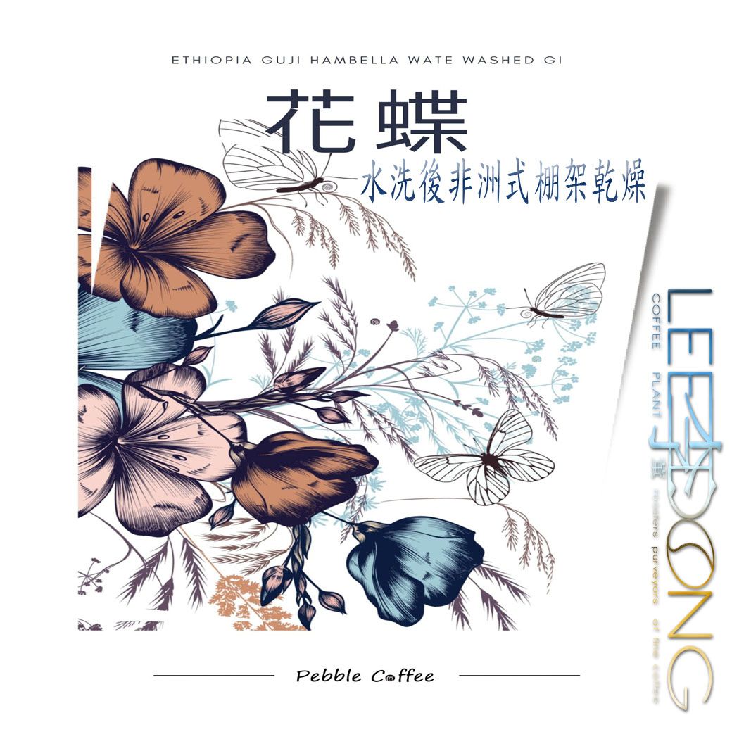 衣索比亞 古吉 罕貝拉  🦋花蝶🦋 G1 水洗後非洲式棚架乾燥 德國 PROBAT