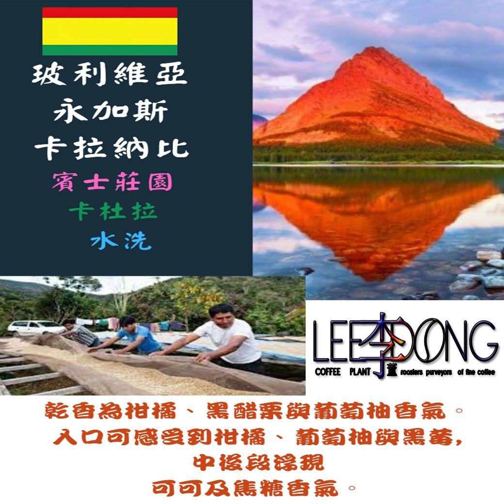 玻利維亞 永加斯 卡拉納比 賓士莊園 卡杜拉 水洗 鮮烘  德國PROBAT 李董咖啡