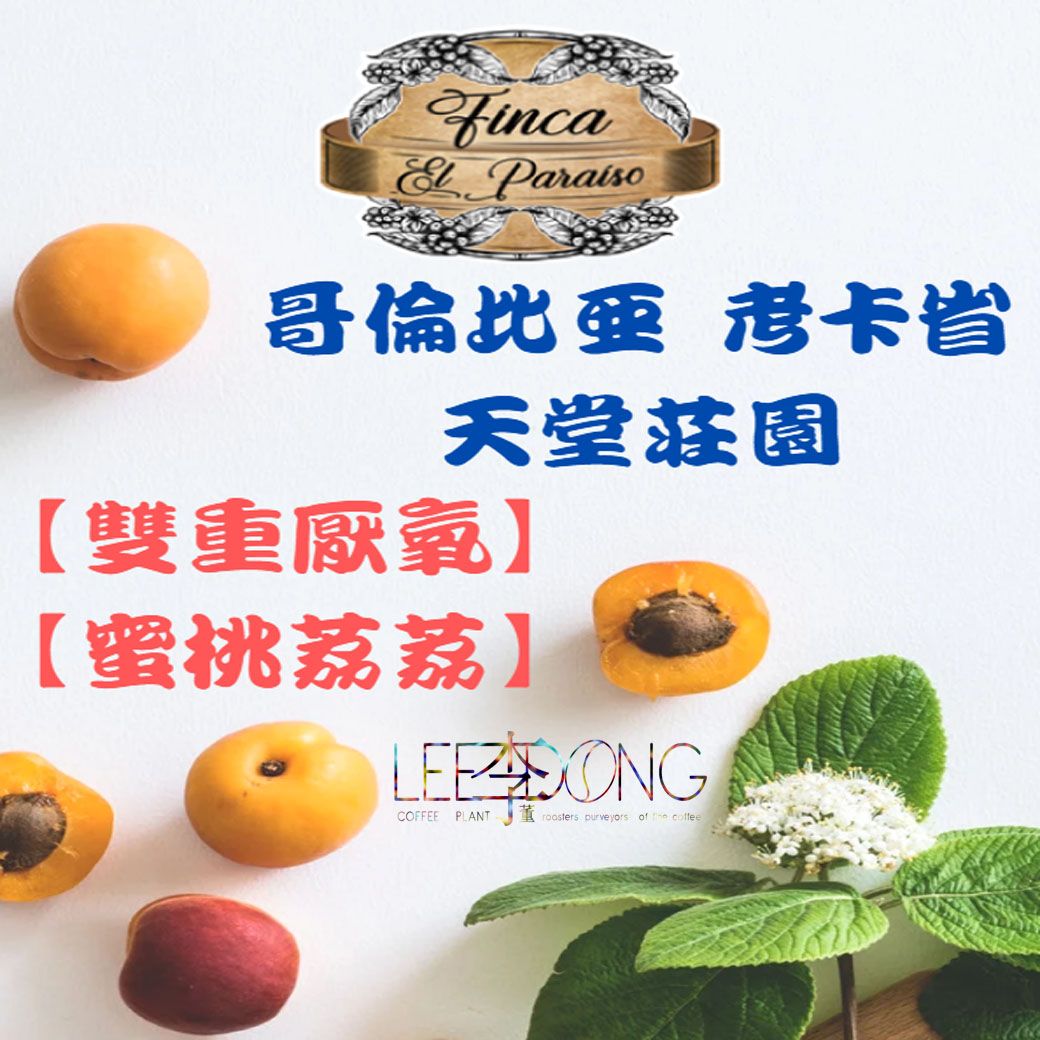 哥倫比亞 考卡省 雙重厭氧 天堂莊園【雙重厭氧  蜜桃荔荔】德國PROBAT 李董咖啡