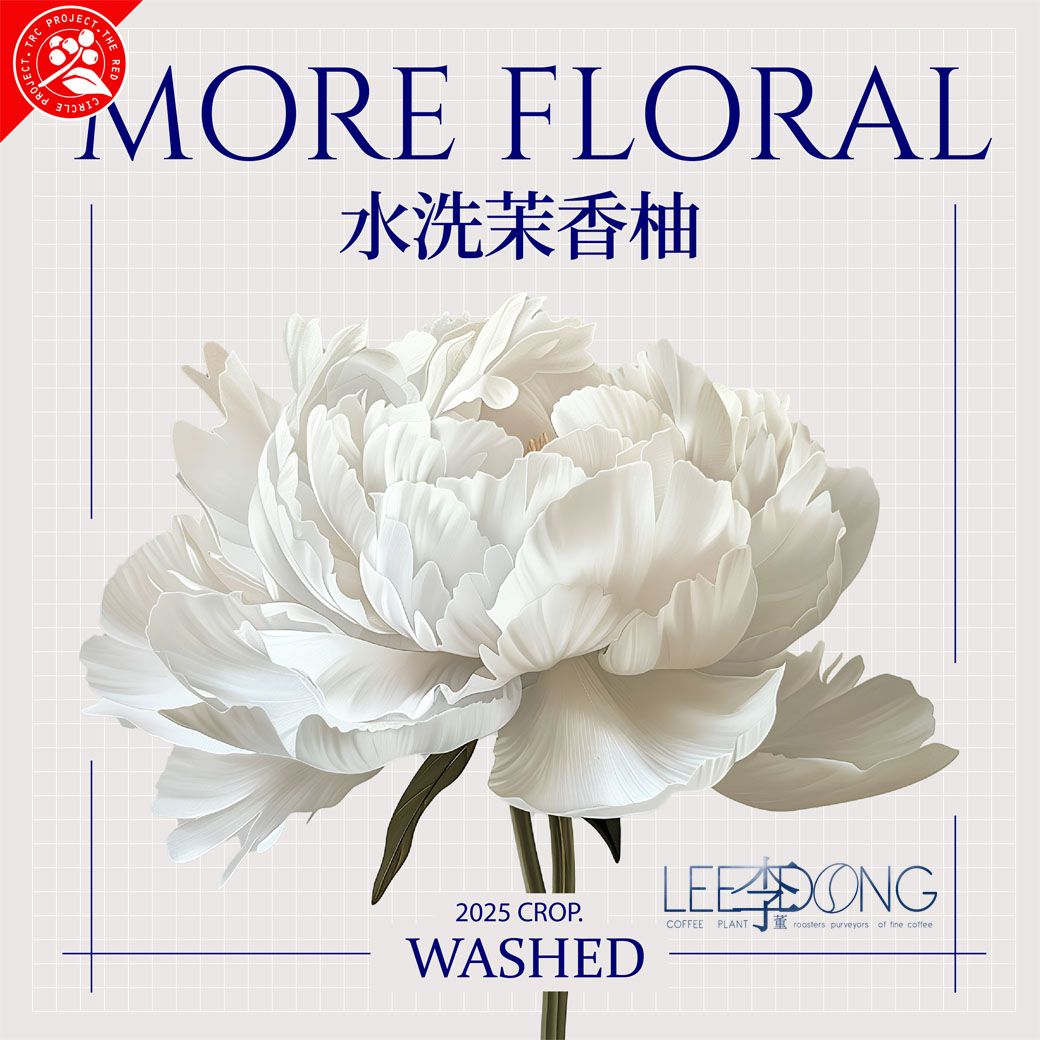 衣索比亞 烏拉嘎 G1  可如蜜 茉香柚 厭氧日曬 日曬 白蜜 手挑 鮮烘 德國 PROBAT AI色選機 李董咖啡