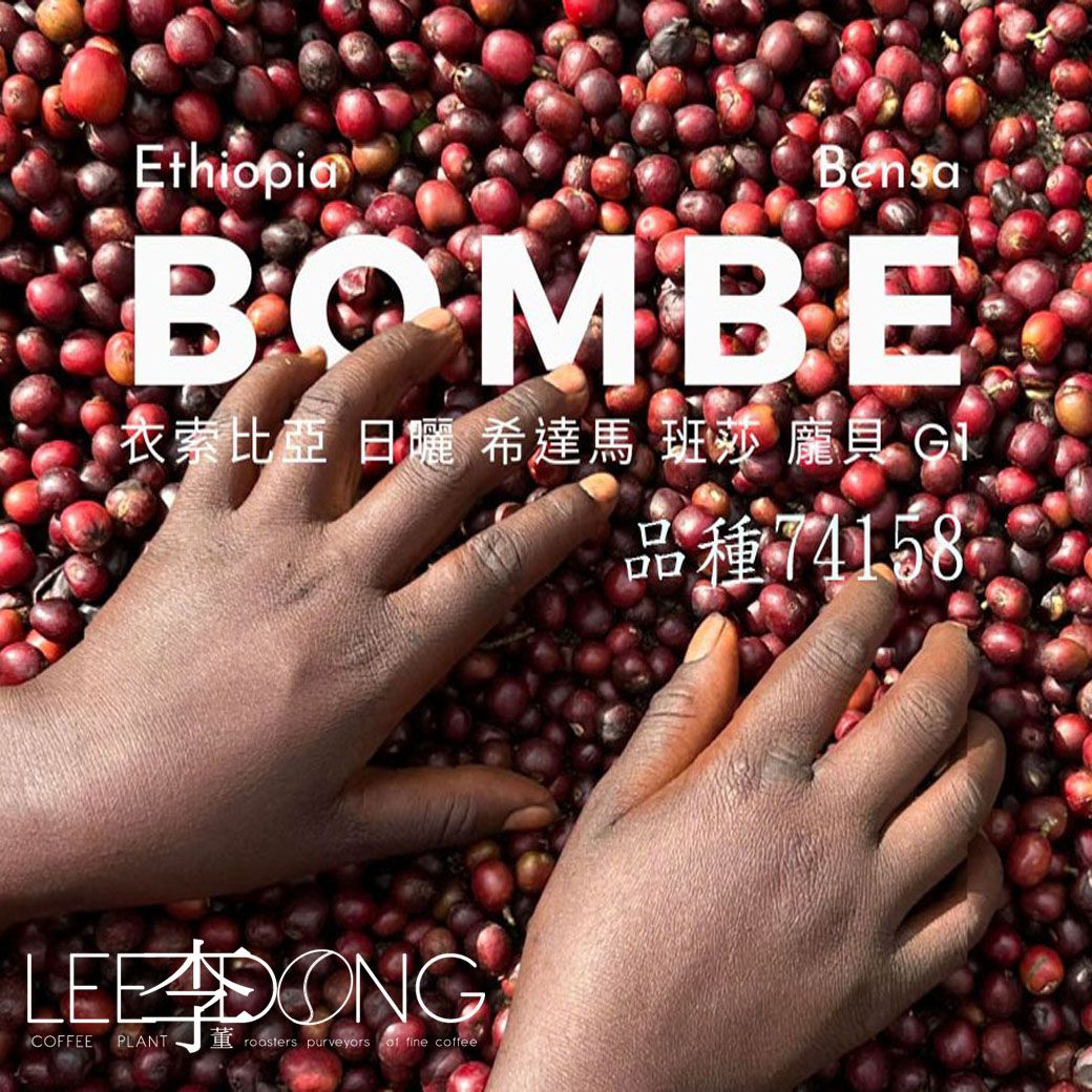 衣索比亞 希達馬 班莎 龐貝 G1 74158 日曬 PROBAT 鮮烘 AI色選機 李董咖啡