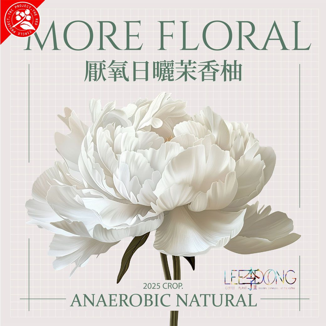 衣索比亞 烏拉嘎 G1  可如蜜 茉香柚 厭氧日曬 日曬 白蜜 手挑 鮮烘 德國 PROBAT AI色選機 李董咖啡