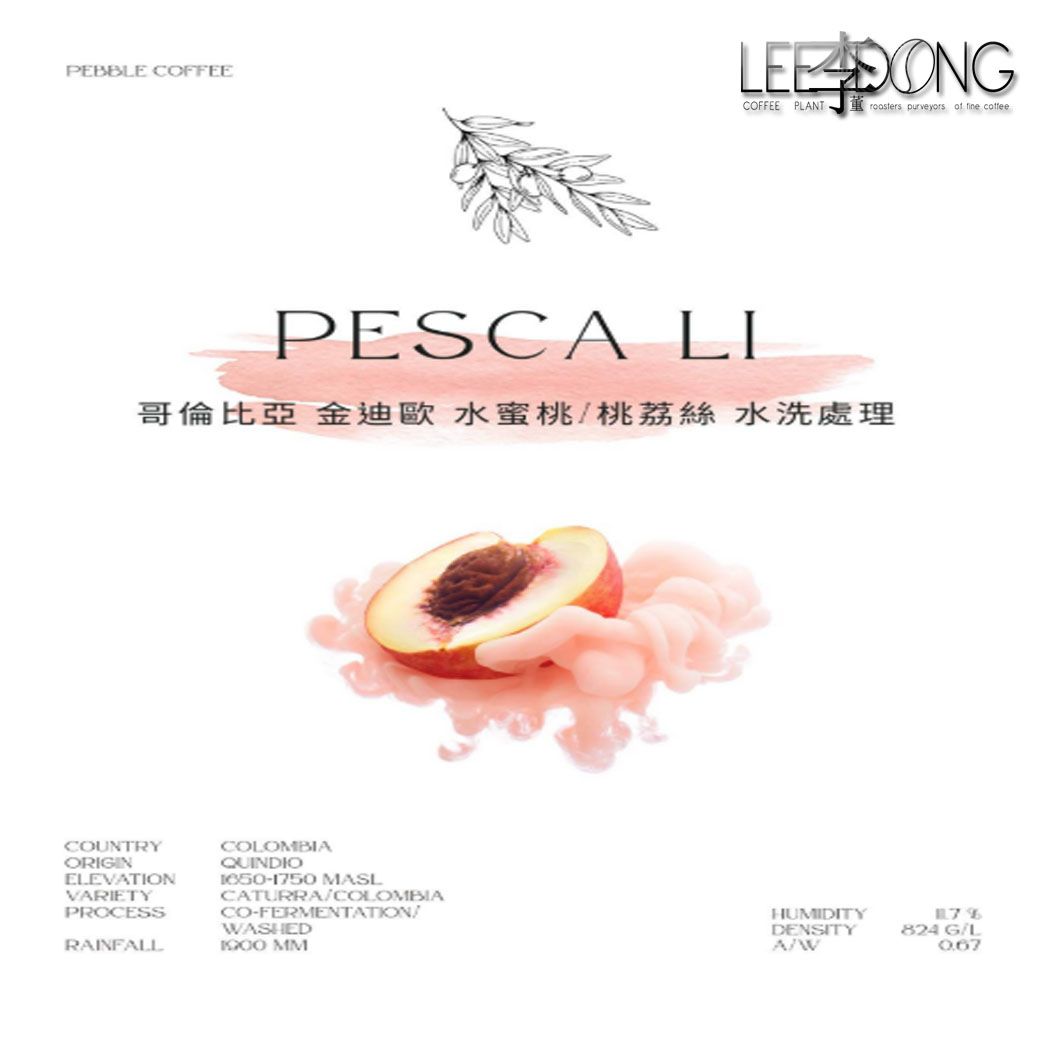 哥倫比亞 金迪歐  【水蜜桃/桃荔絲 水洗】  手挑 鮮烘 德國PROBAT AI色選機 李董咖啡
