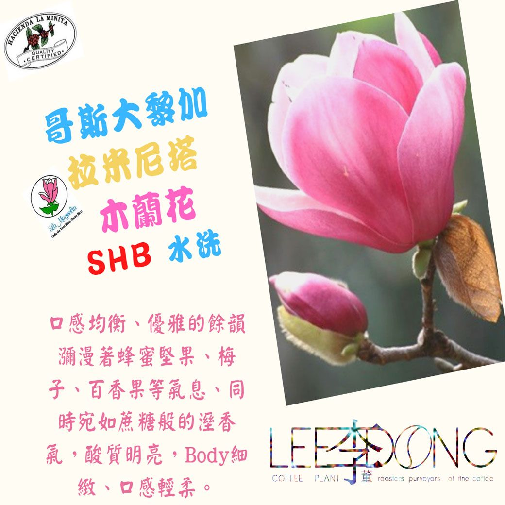 哥斯大黎加 拉米尼塔 三水河 【木蘭花】 SHB 水洗 鮮烘培 手挑豆 德國PROBAT 李董咖啡