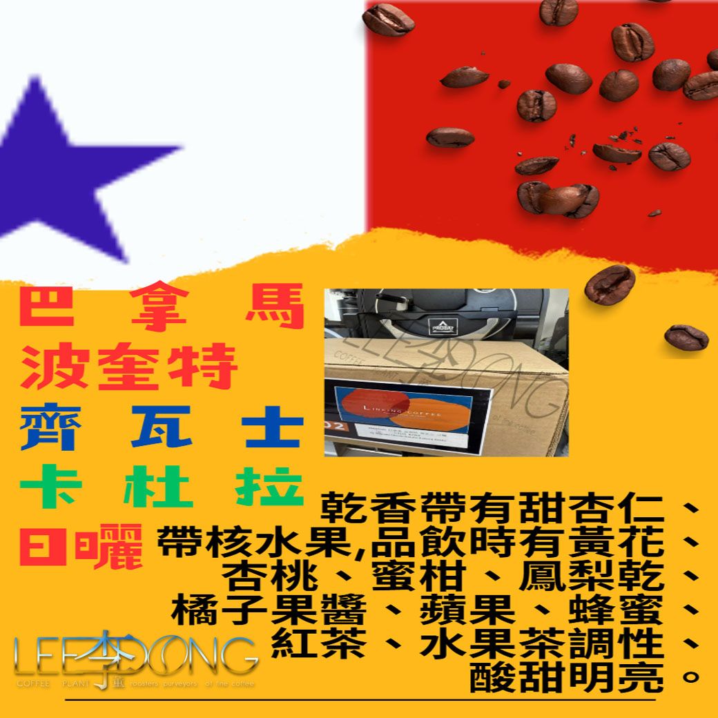 巴拿馬 波奎特 卡杜拉 【齊瓦士】日曬 德國PROBAT AI色選機 李董咖啡