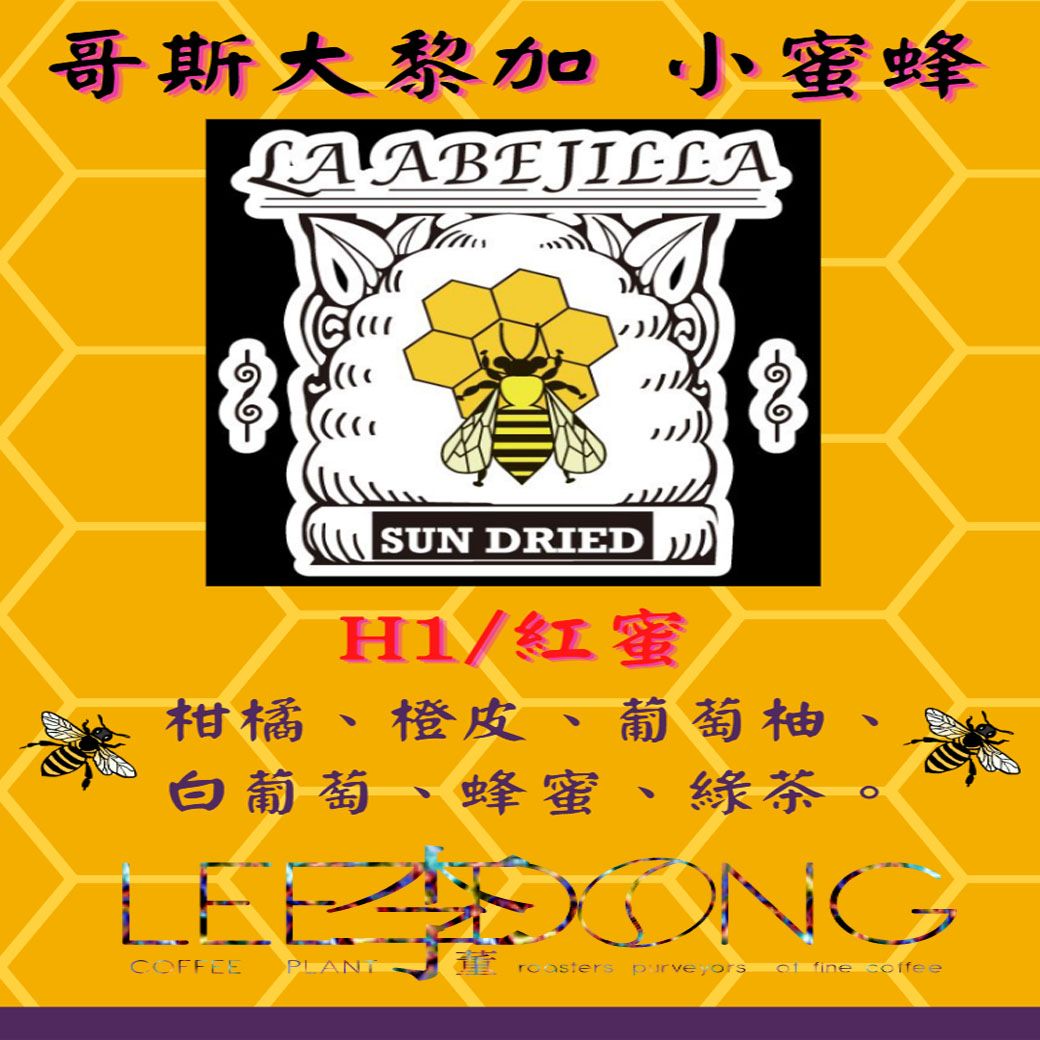 哥斯大黎加 🐝 小蜜蜂 🐝 紅蜜 德國PROBAT AI色選機 🏆冠軍烘豆師李董咖啡🏆
