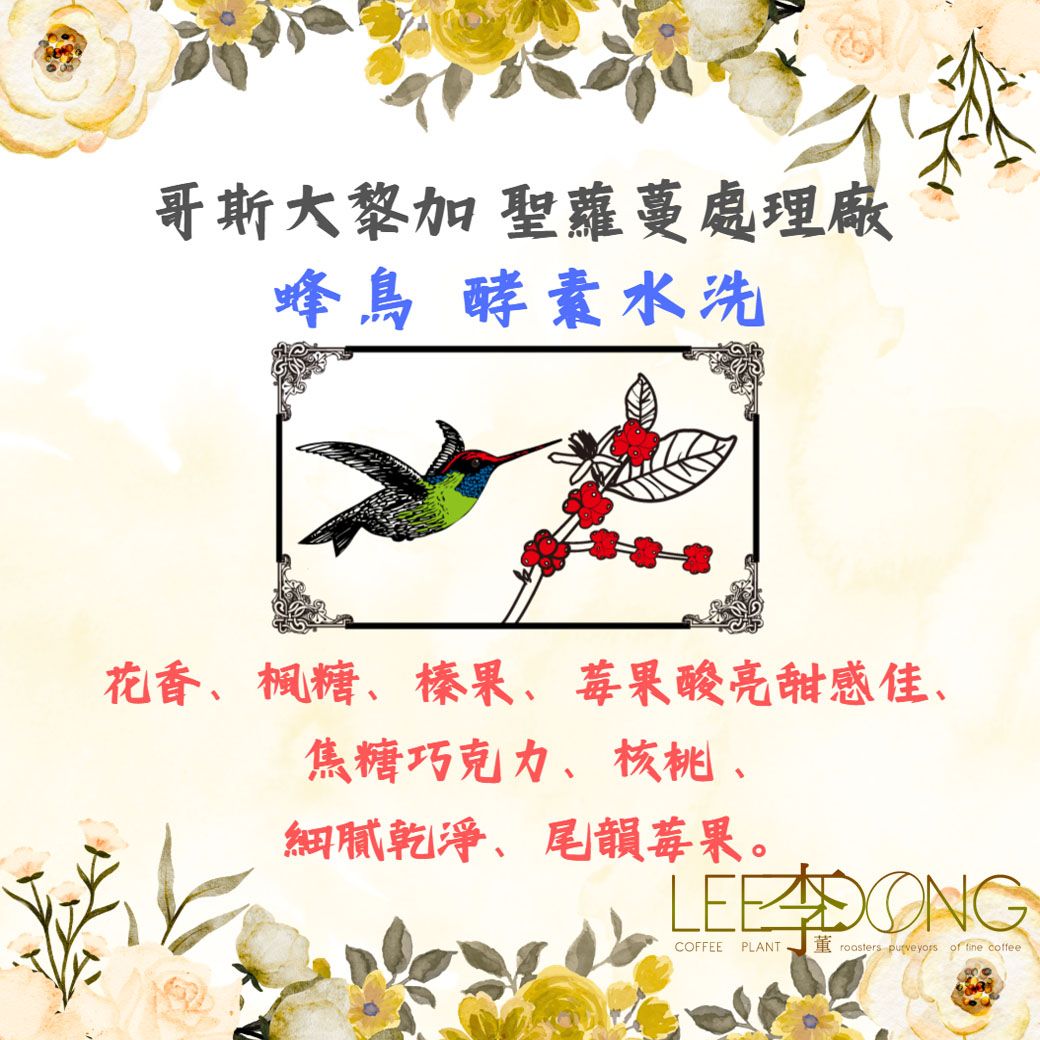哥斯大黎加 聖蘿蔓處理廠 蜂鳥 酵素水洗 鮮烘培 手挑豆 德國PROBAT 🏆冠軍烘豆師李董咖啡🏆