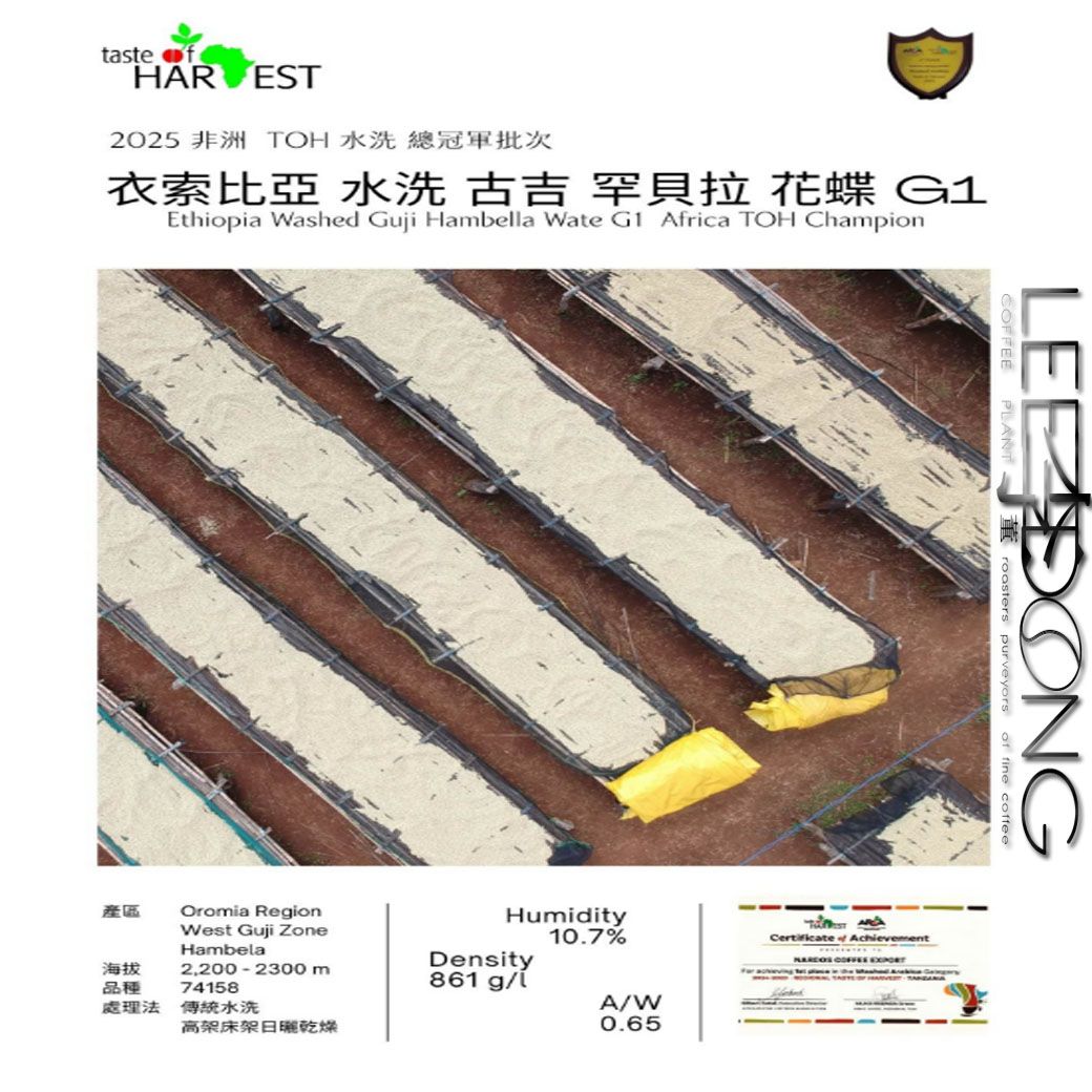 2025 TOH🏆冠軍批次 衣索比亞 古吉 罕貝拉 G1 花蝶 水洗 德國PROBAT AI色選 🏆冠軍烘豆師李董咖