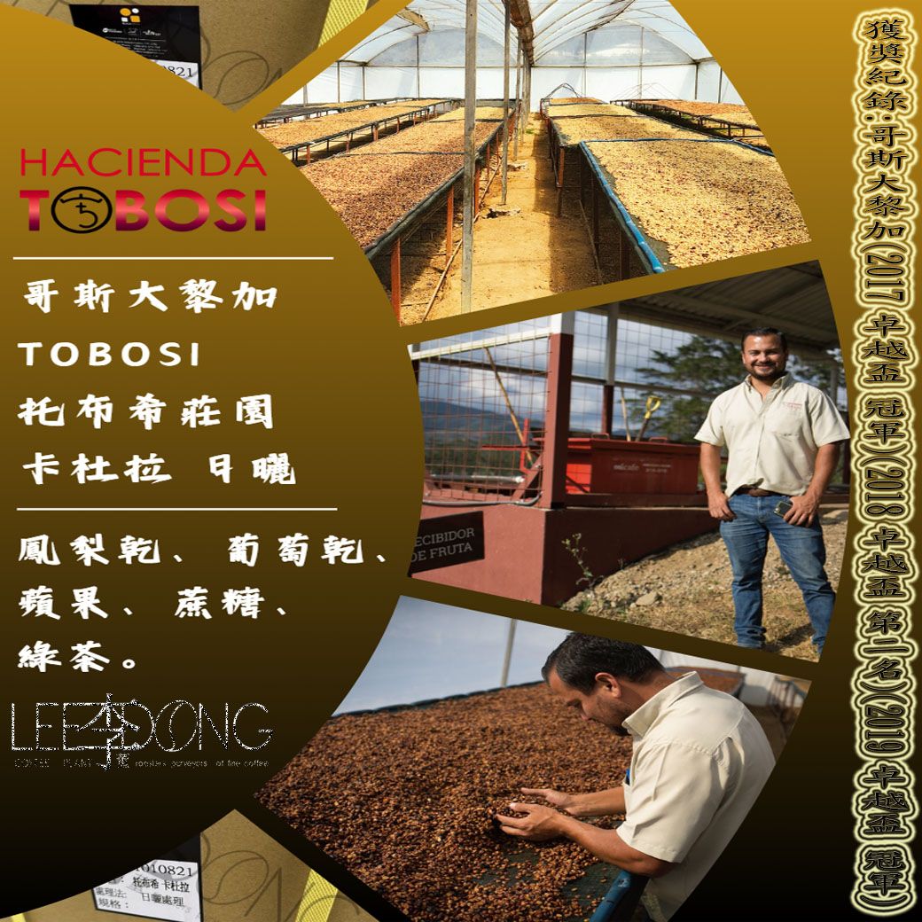 哥斯大黎加 托布希莊園 COPEY 卡杜艾 日曬 德國PROBAT AI色選機 🏆冠軍烘豆師李董咖啡🏆
