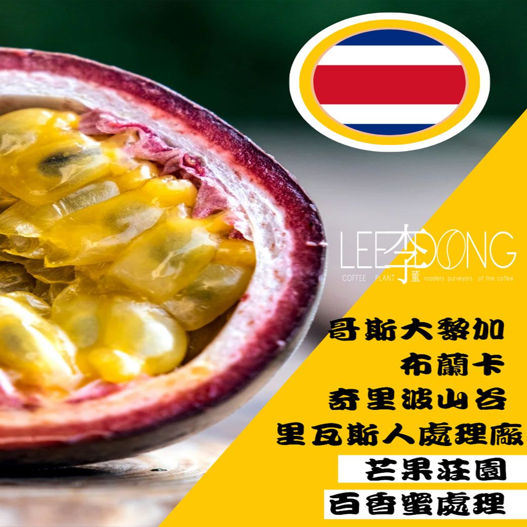 哥斯大黎加 布蘭卡 奇里波山谷  里瓦斯人處理廠 芒果莊園 百香蜜德國PROBAT AI色選機 🏆冠軍烘豆師李董咖啡