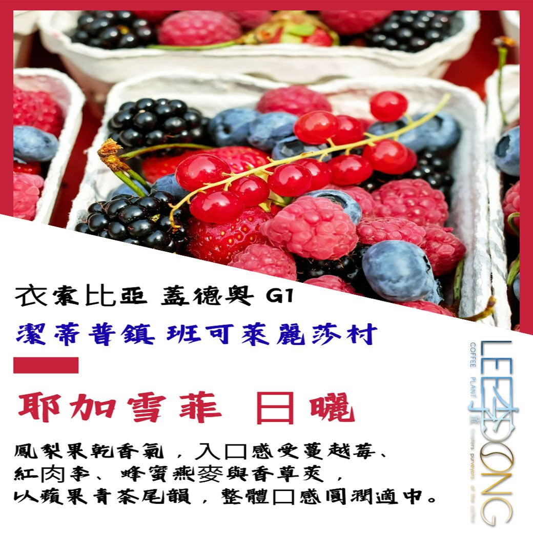 ⾐索⽐亞 蓋德奧 G1 潔蒂普鎮 班可萊麗莎村  耶加雪菲 ⽇曬 德國PROBAT 🏆冠軍烘豆師李董咖啡🏆