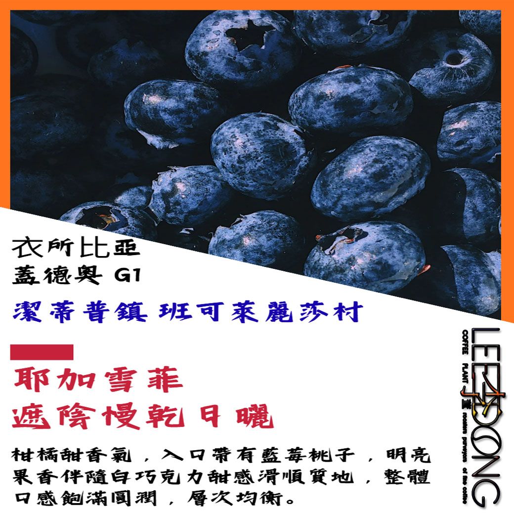 ⾐索⽐亞 蓋德奧 G1 潔蒂普鎮 班可萊麗莎村  耶加雪菲 遮陰慢乾日曬 德國PROBAT 🏆冠軍烘豆師李董咖啡🏆