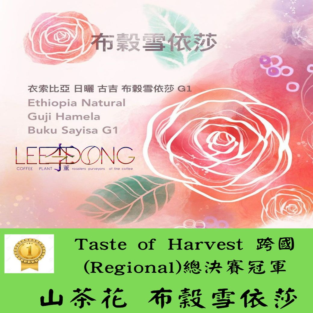 古吉 山茶花 布穀雪依莎G1 日曬 🏆Taste of Harvest 跨國（Regional）總決賽冠軍🏆 李董咖