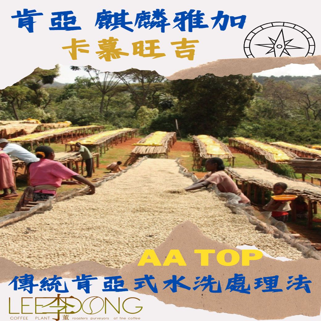 肯亞 麒麟雅加 卡慕旺吉 AA TOP 傳統肯亞式水洗 德國 PROBAT AI色選機 🏆冠軍烘豆師李董咖啡🏆