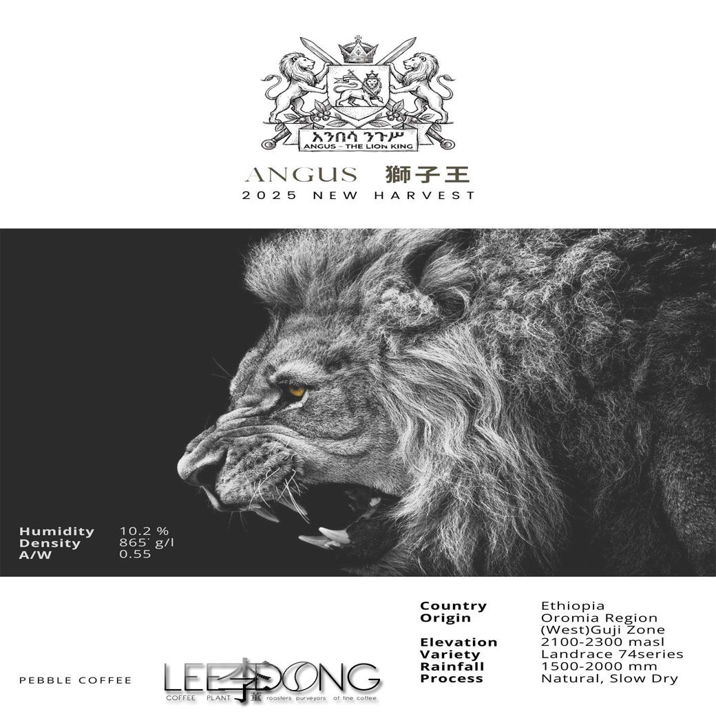 衣索比亞 古吉 安格斯獅子王 G1 25/1批次 非洲式棚架日曬 德國PROBAT 鮮烘 🏆冠軍烘豆師李董咖啡🏆