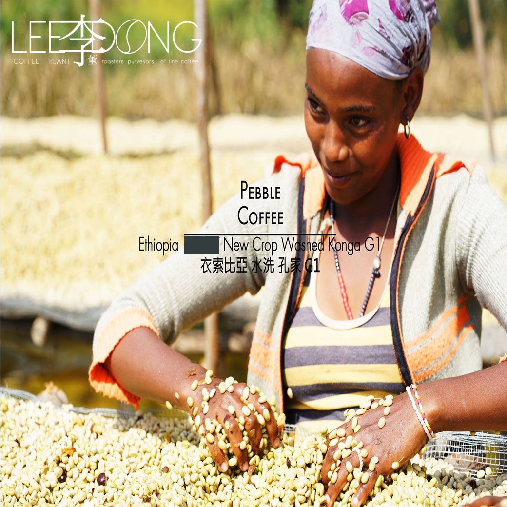 衣索比亞 耶珈雪啡 G1 孔家處理廠 水洗 鮮烘 德國PROBAT 🏆冠軍烘豆師李董咖啡🏆