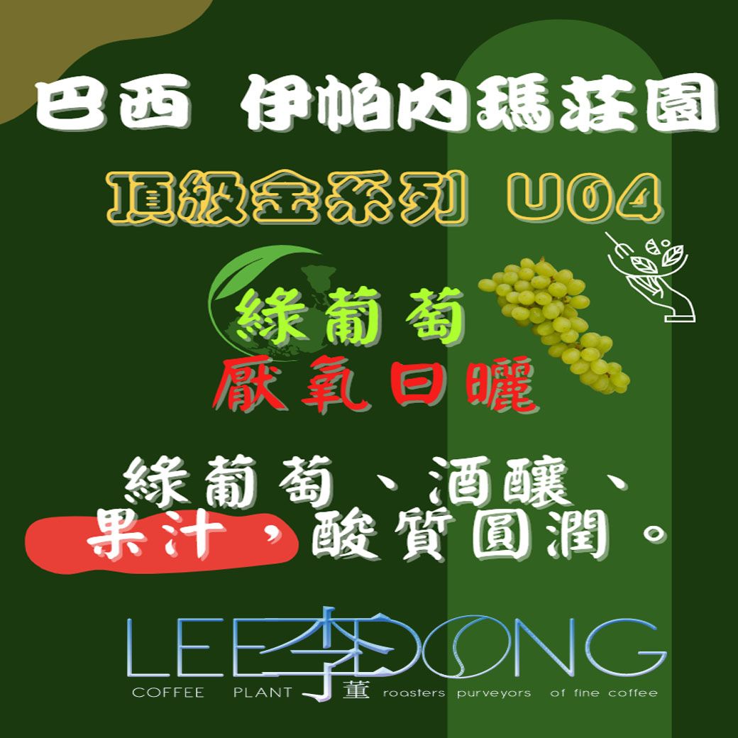 巴西 伊帕內瑪莊園 頂級金系列 U04 綠葡萄 厭氧日曬 德國PROBAT 🏆冠軍烘豆師李董咖啡🏆
