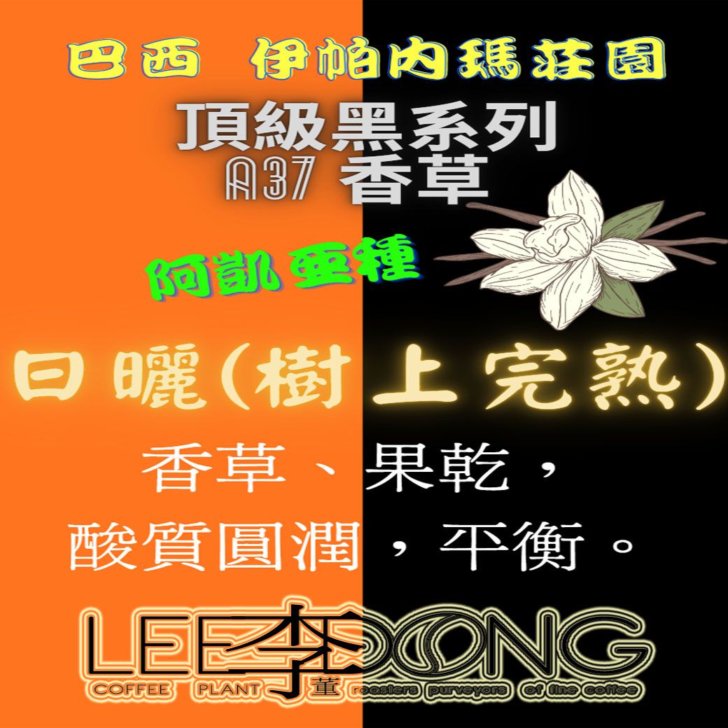 巴西 伊帕內瑪莊園 頂級黑系列 A37 香草 阿凱亞種 日曬（樹上完熟） 德國PROBAT  🏆冠軍烘豆師李董咖啡🏆