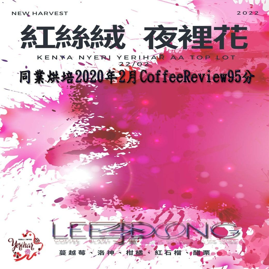 肯亞 紅絲絨 夜裡花 AA  AB TOP 最新批次 手挑 鮮烘 德國 PROBAT AI色選機 🏆冠軍烘豆師李董咖啡