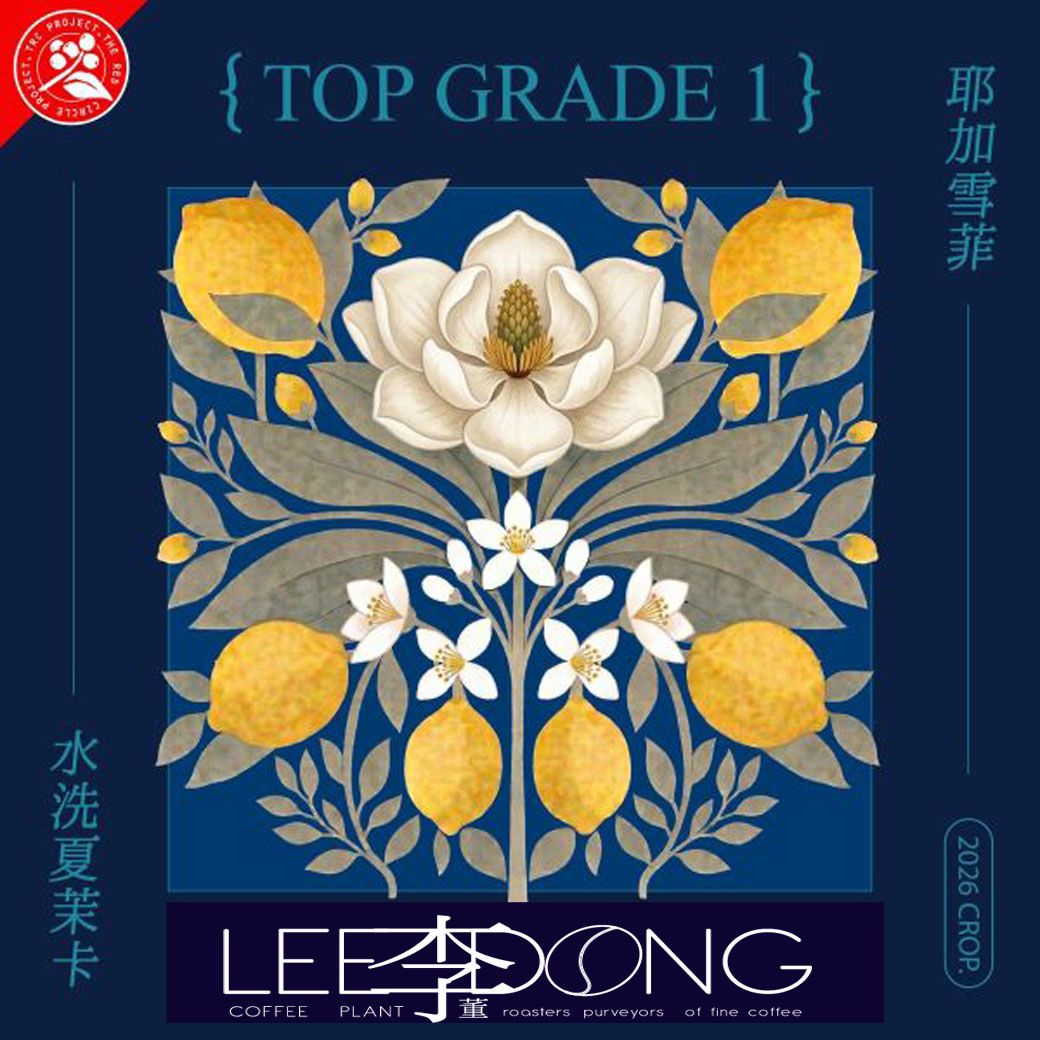 衣索比亞 耶加雪菲  頂級TOP G1 74110 夏茉卡 日曬 水洗  鮮烘 德國 Probat 🏆冠軍烘豆師李董咖
