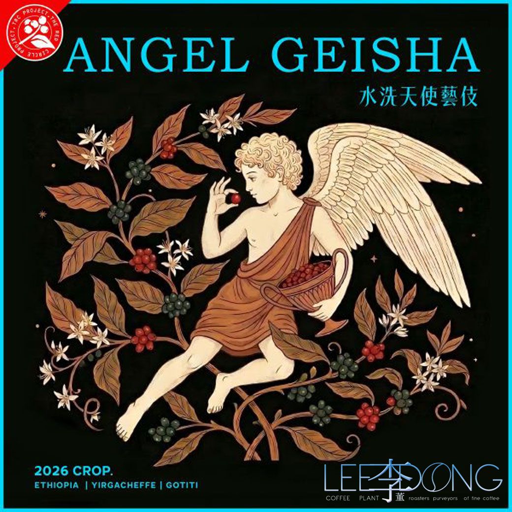 耶加雪菲 天使處理站 TOP G1 果丁丁 天使 Geisha藝伎 日曬 德國PROBAT🏆冠軍烘豆師李董咖啡🏆