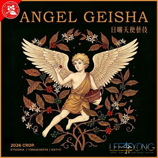 耶加雪菲 天使處理站 TOP G1 果丁丁 天使 Geisha藝伎 日曬 德國PROBAT🏆冠軍烘豆師李董咖啡🏆