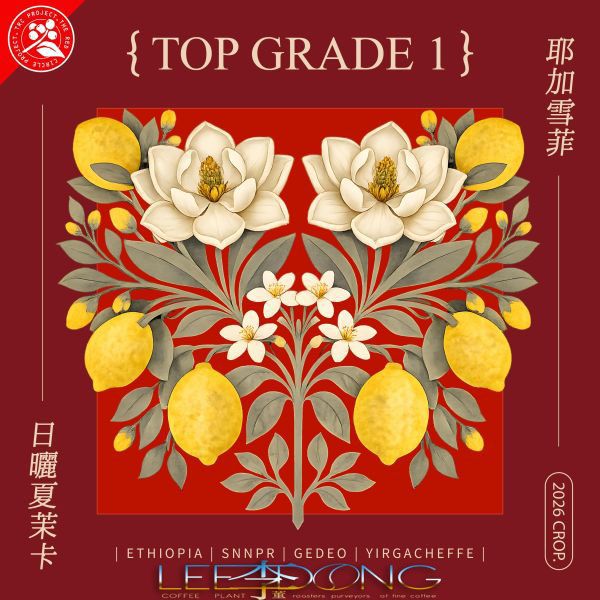衣索比亞 耶加雪菲  頂級TOP G1 74110 夏茉卡 日曬 水洗  鮮烘 德國 Probat 🏆冠軍烘豆師李董咖