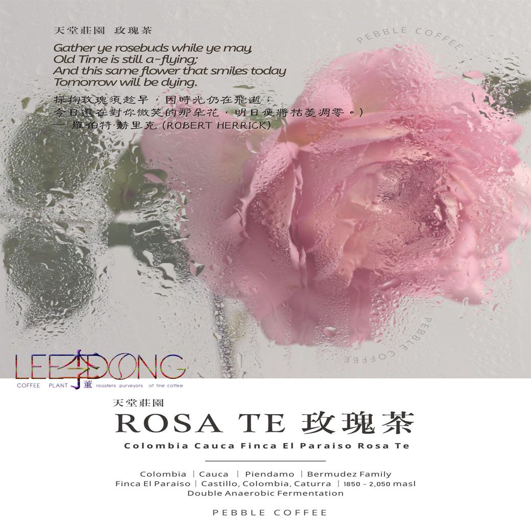 哥倫比亞 考卡省 天堂莊園🌹【雙重厭氧 玫瑰茶】🌹 貴婦最愛 鮮烘培 手挑豆 德國PROBAT 🏆冠軍烘豆師李董咖