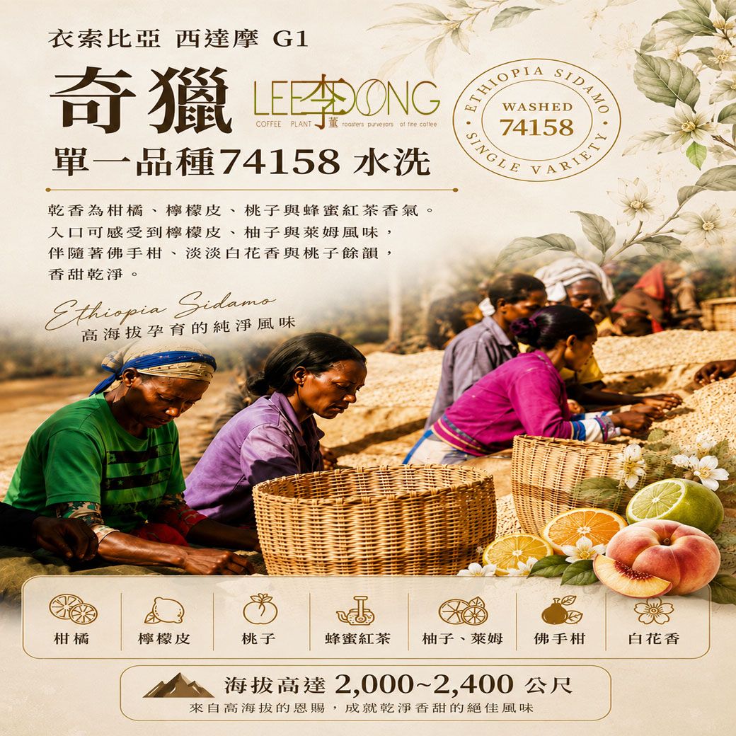 衣索比亞 西達摩 G1 奇獵 單一品種 74158 水洗 鮮烘培 手挑豆 德國PROBAT 🏆冠軍烘豆師李董咖啡🏆