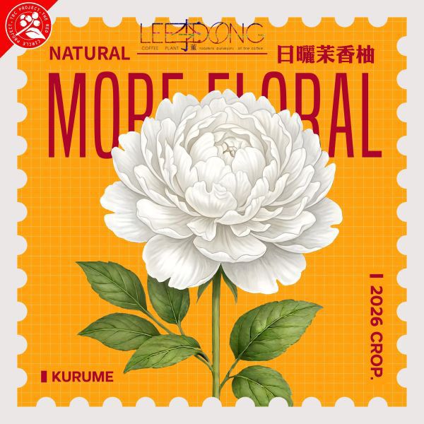 衣索比亞 烏拉嘎 G1  可如蜜 茉香柚 厭氧日曬 白蜜 水洗 鮮烘 德國 PROBAT AI色選🏆冠軍烘豆師李董咖啡