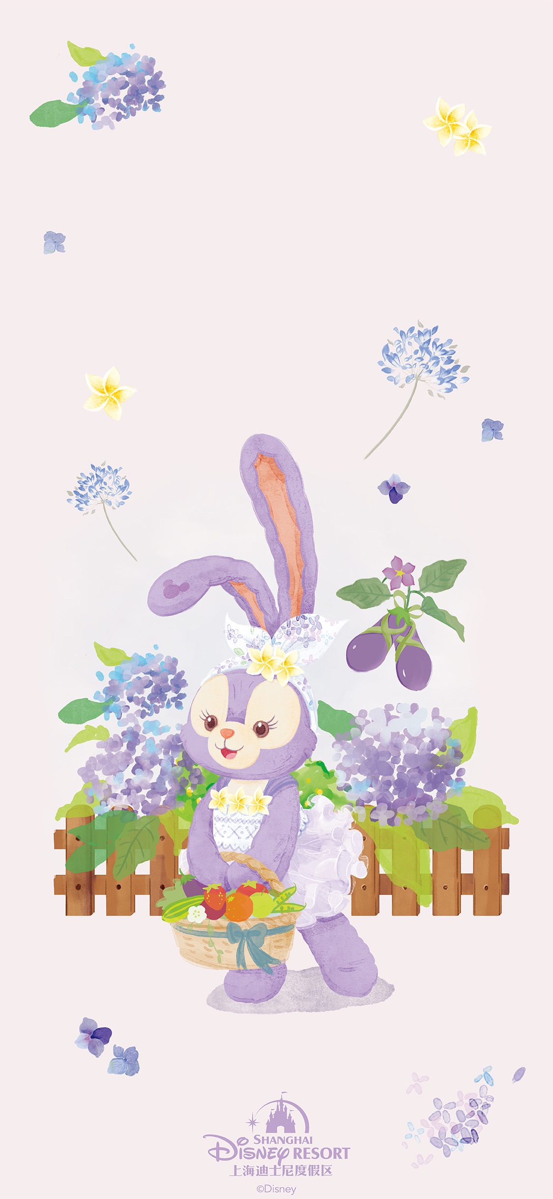 史黛拉🐰＆歐陸🐢♡