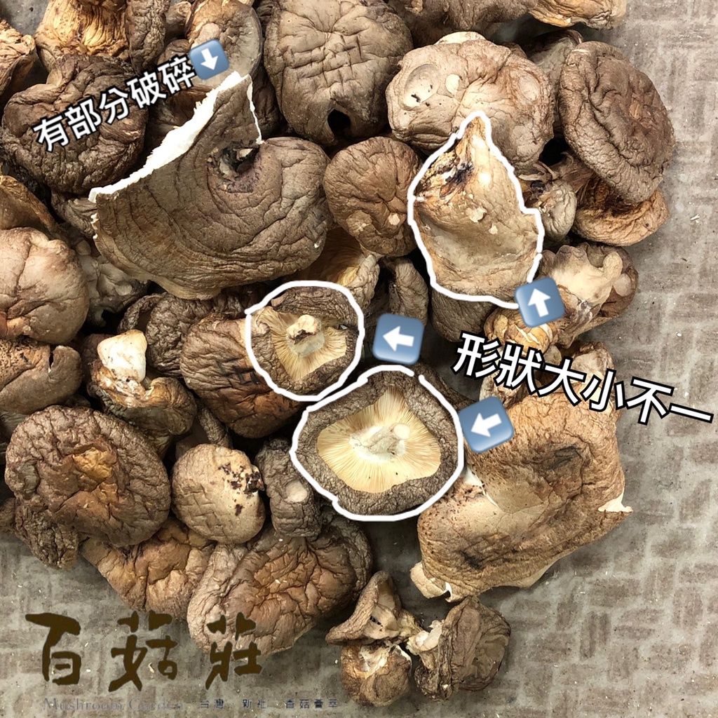 【新社百菇莊】乾燥系列 NG乾燥香菇