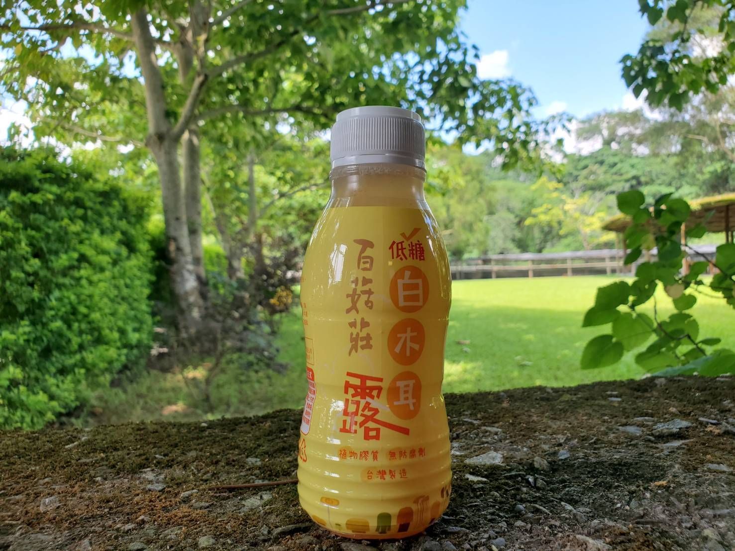 台灣製造純素低糖 黑白木耳露