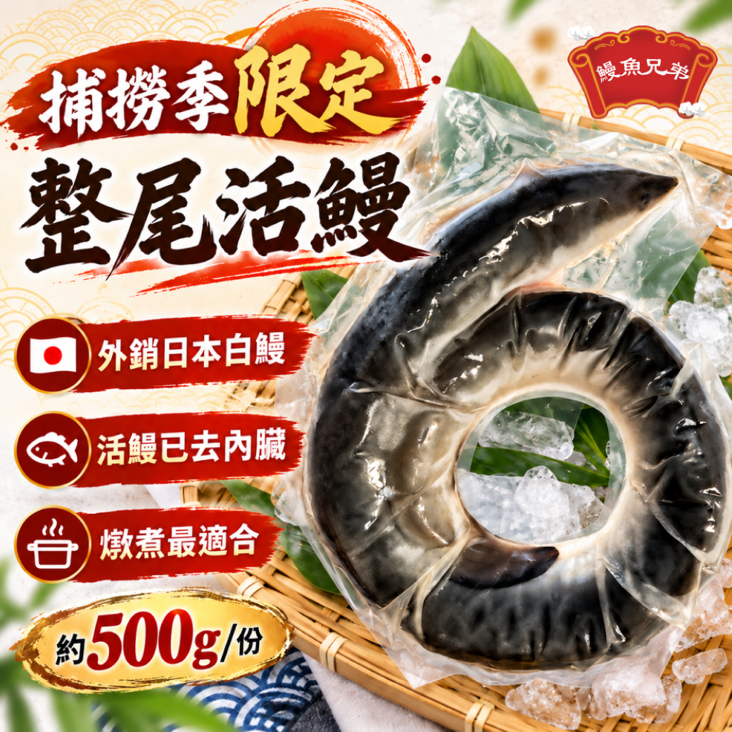 [鰻魚兄弟-日本白鰻養殖場]鮮活鰻現殺整尾生鰻魚 外銷日本白鰻（去內臟 約500g/份 真空冷凍） 適合燉煮/煎烤