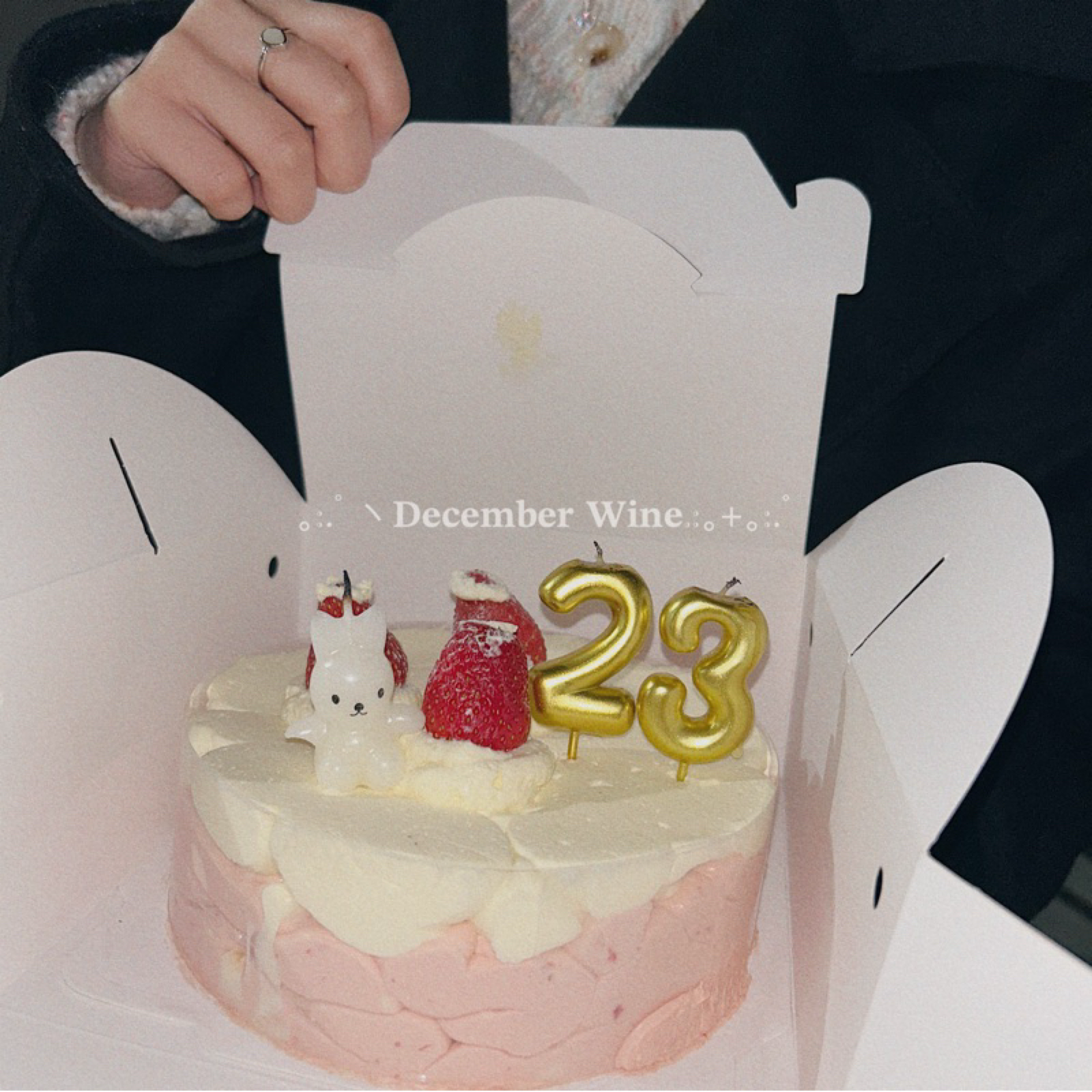 Dec.wine_ 祝你生日快樂天天過生日蠟燭數字氣球蠟燭🎂/數字蠟燭/金色蠟燭/氣球蠟燭/生日蠟燭/生日派對/氣派慶