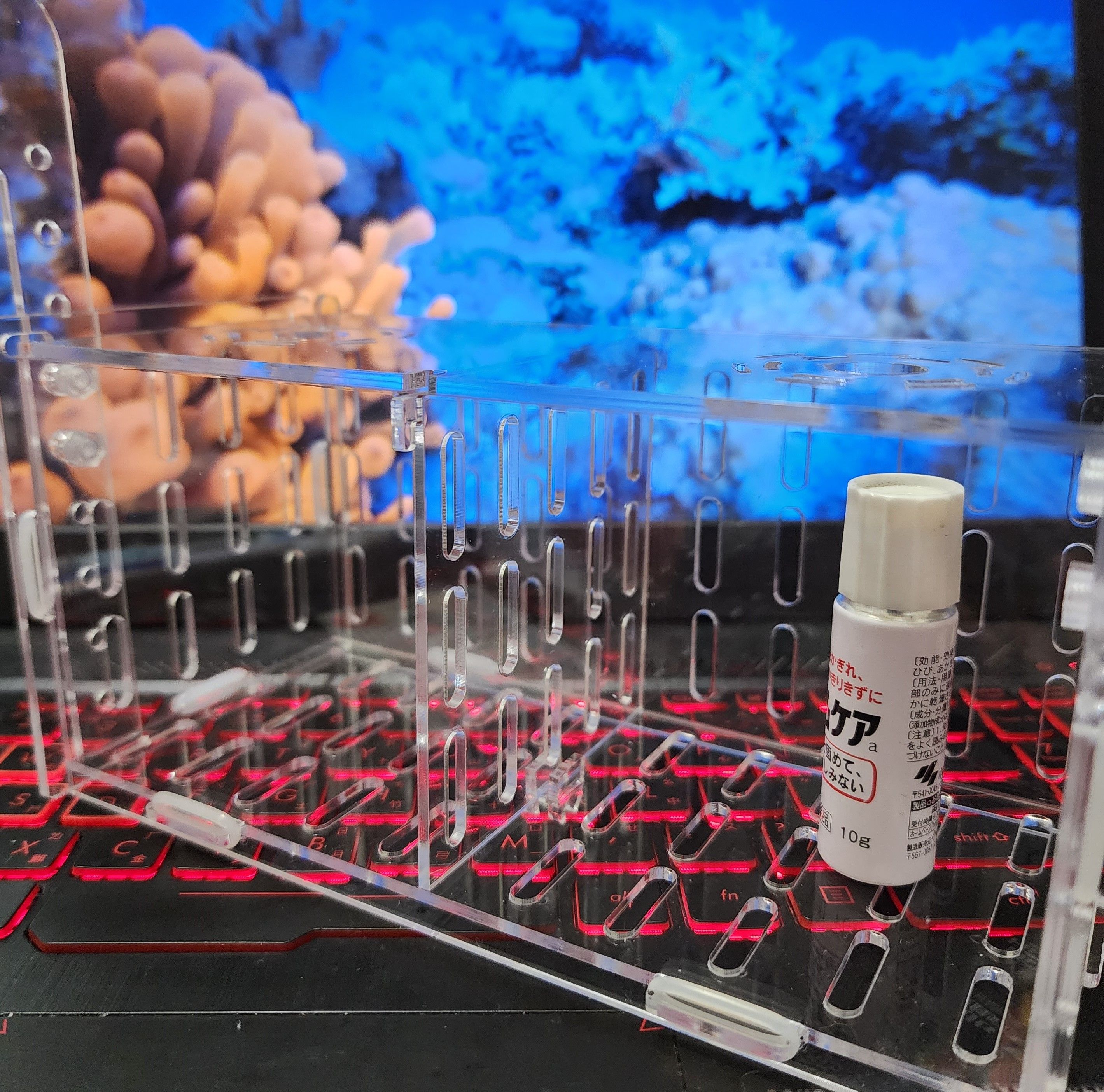 外掛式壓克力粗條孔隔離盒 細條孔隔離盒 水族用品