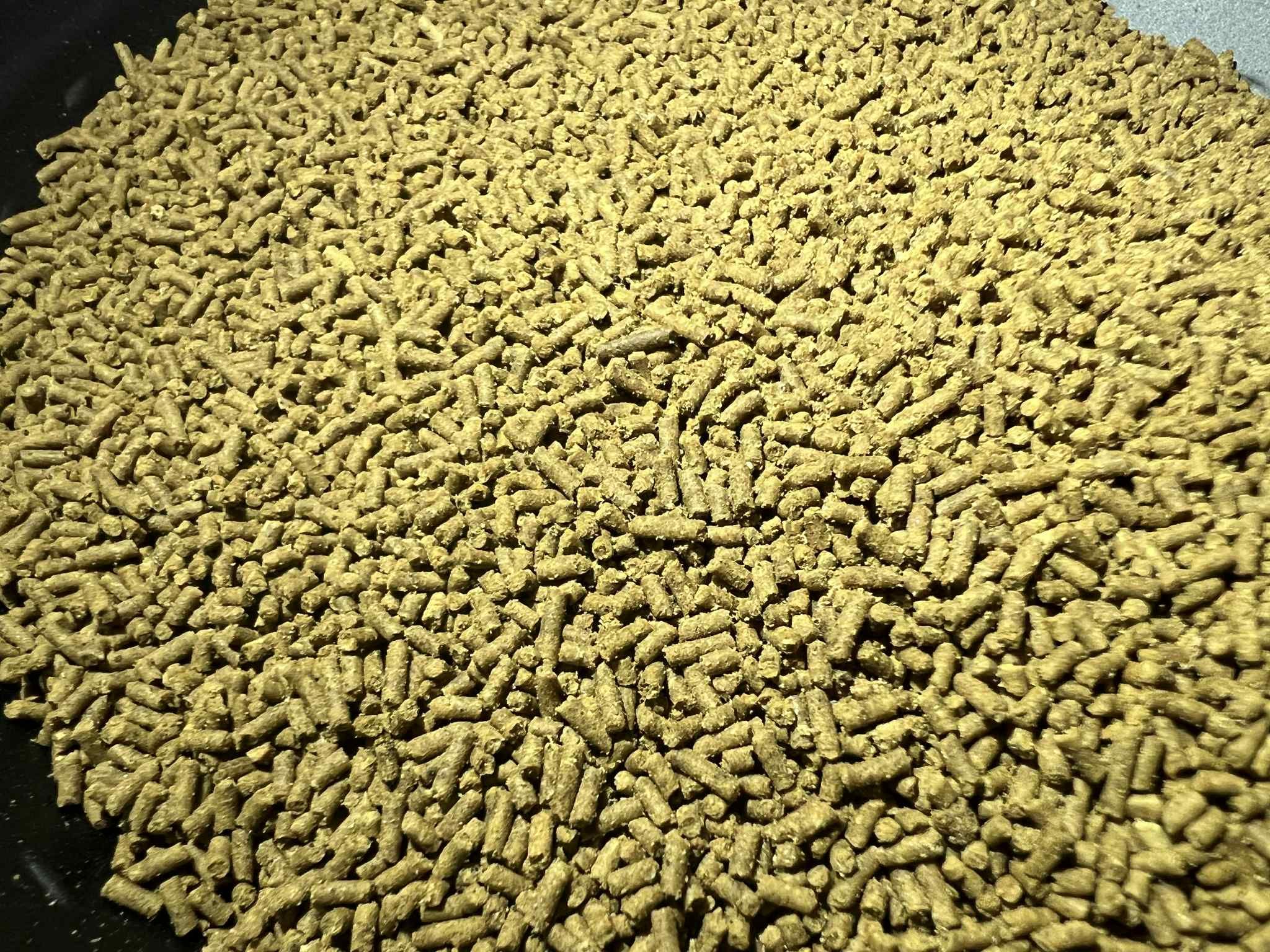 螯蝦飼料 顆粒狀 沉底飼料（點圖片看說明）