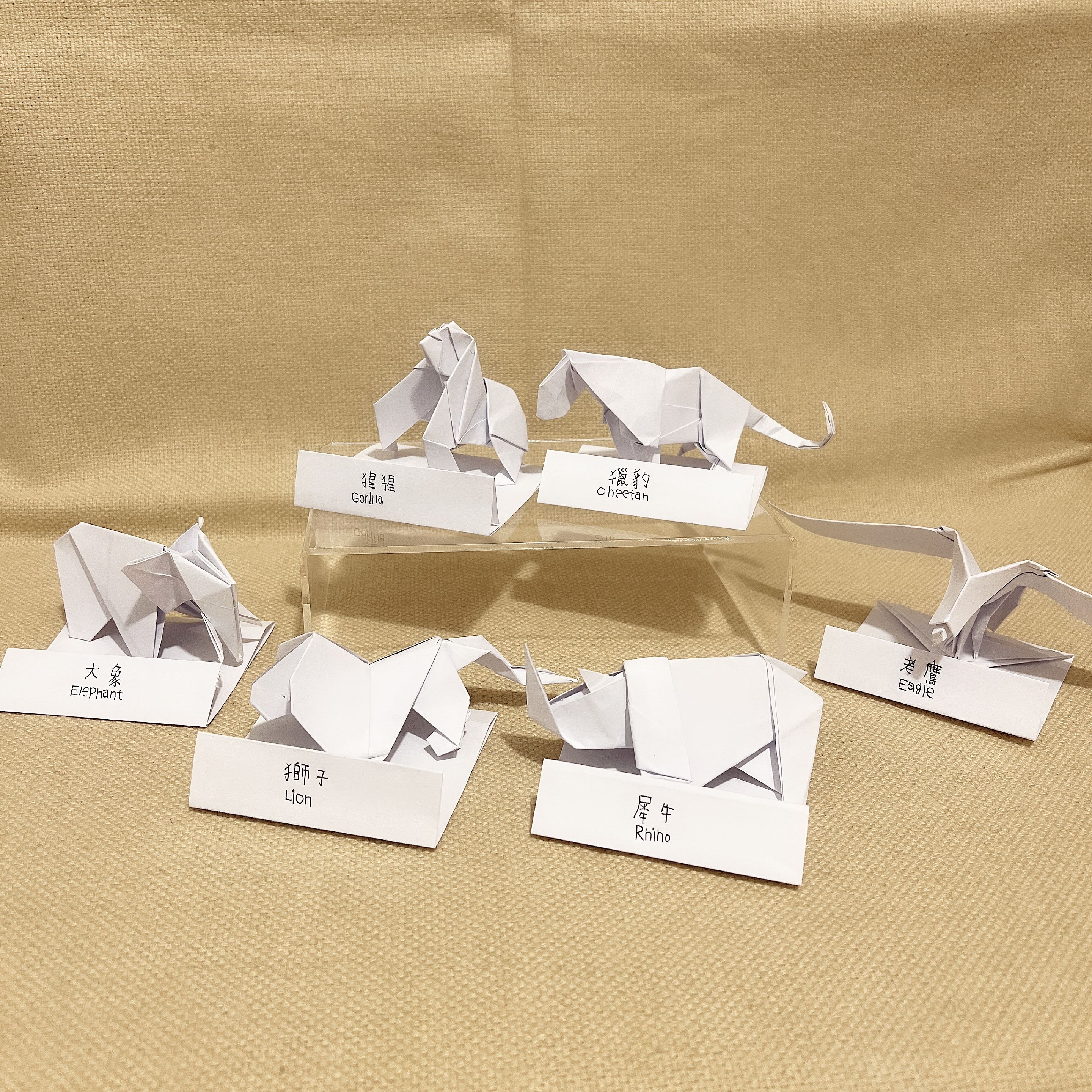 《N兔 studio X 龍王手摺紙》 立體手工摺紙 動物系列-共 6 款