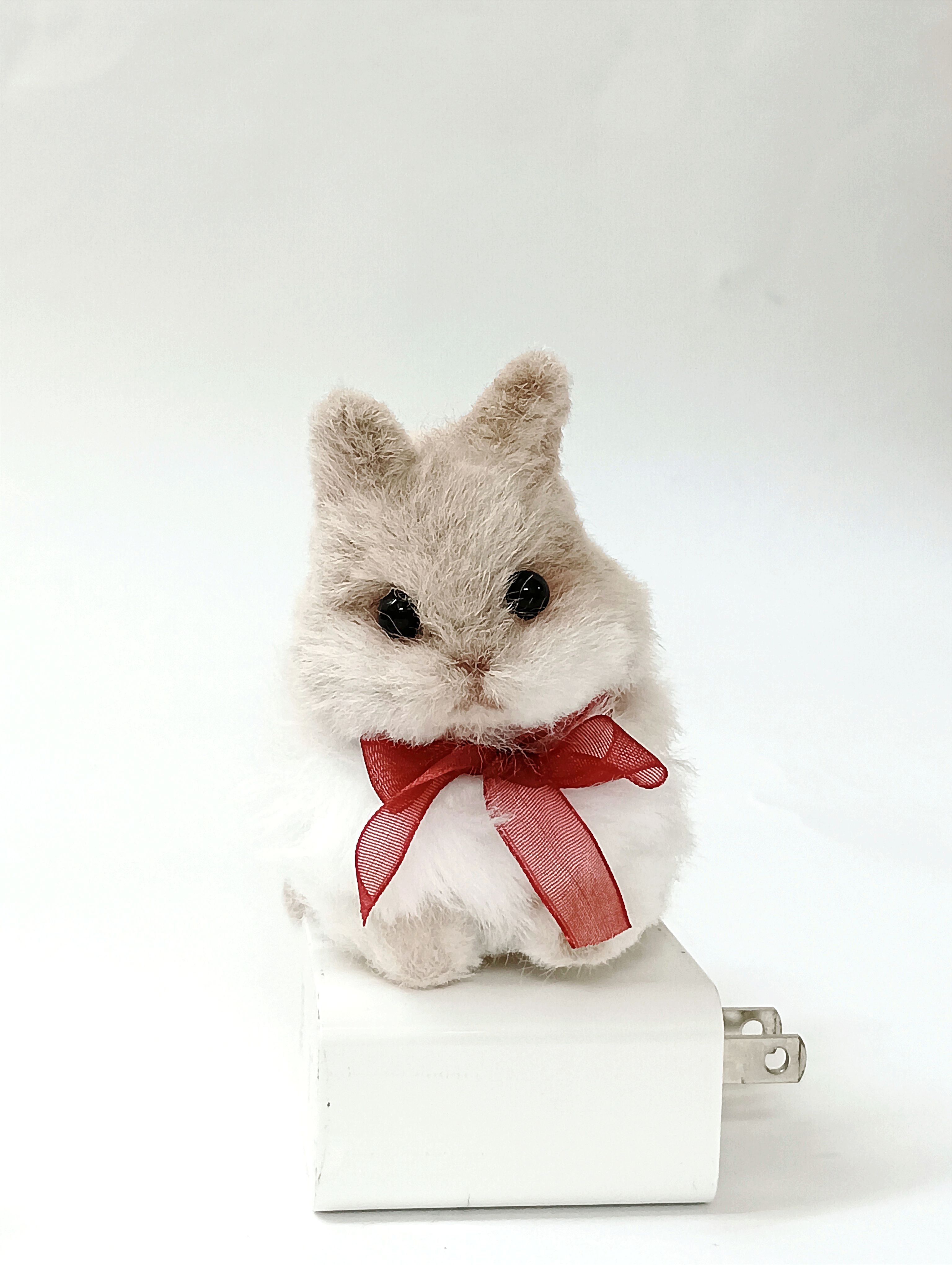 貴貴的扭扭棒小動物區 請先看注意事項