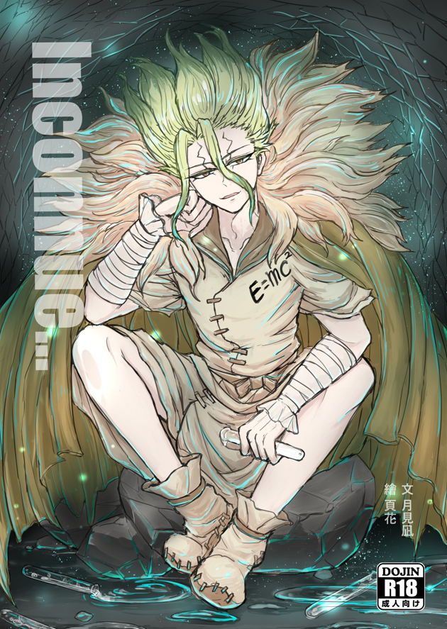 Dr.STONE 新石紀 同人小說──Inconnue... （司X千）