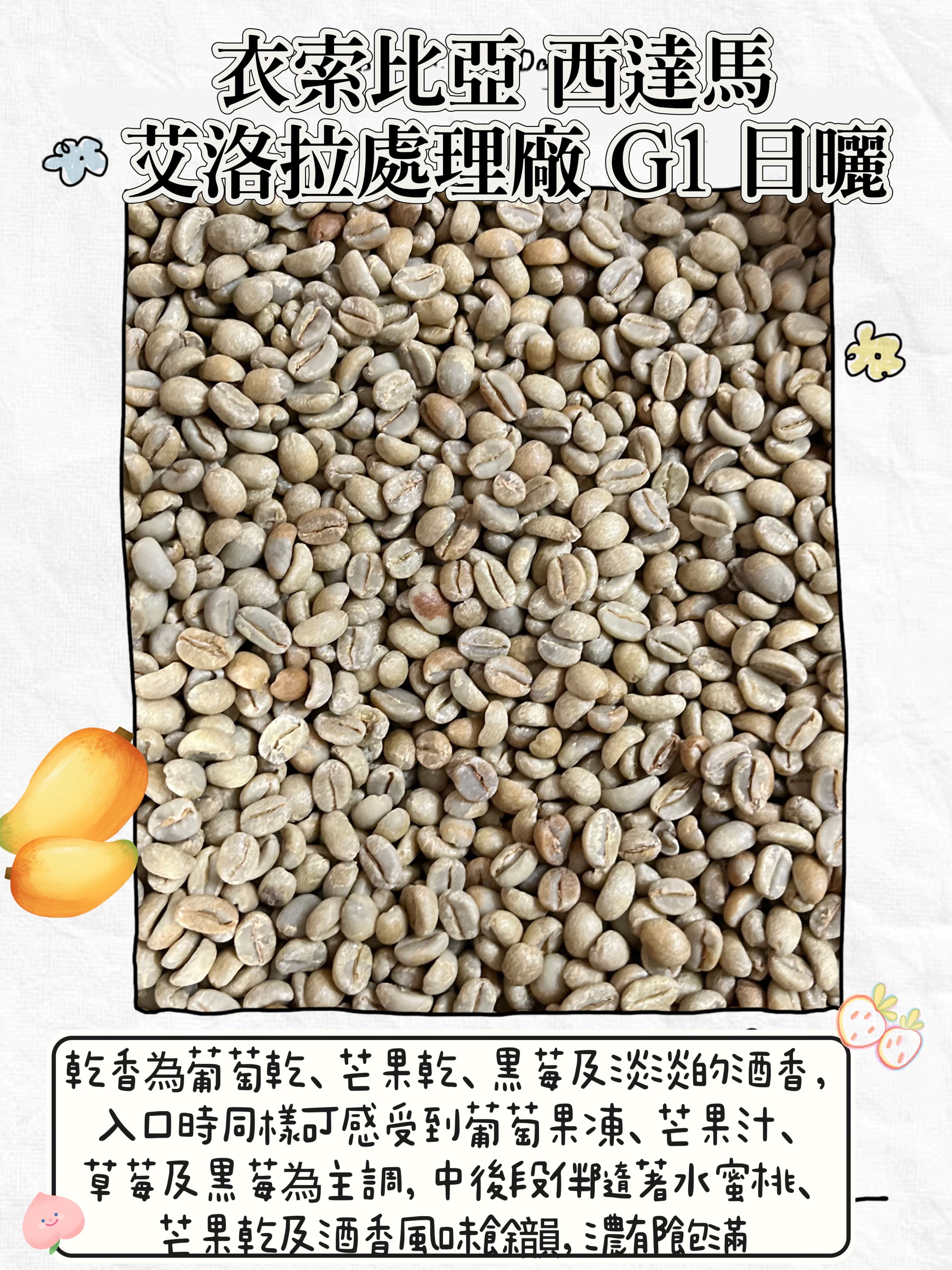 衣索比亞 日曬 西達馬 艾洛拉處理廠 G1