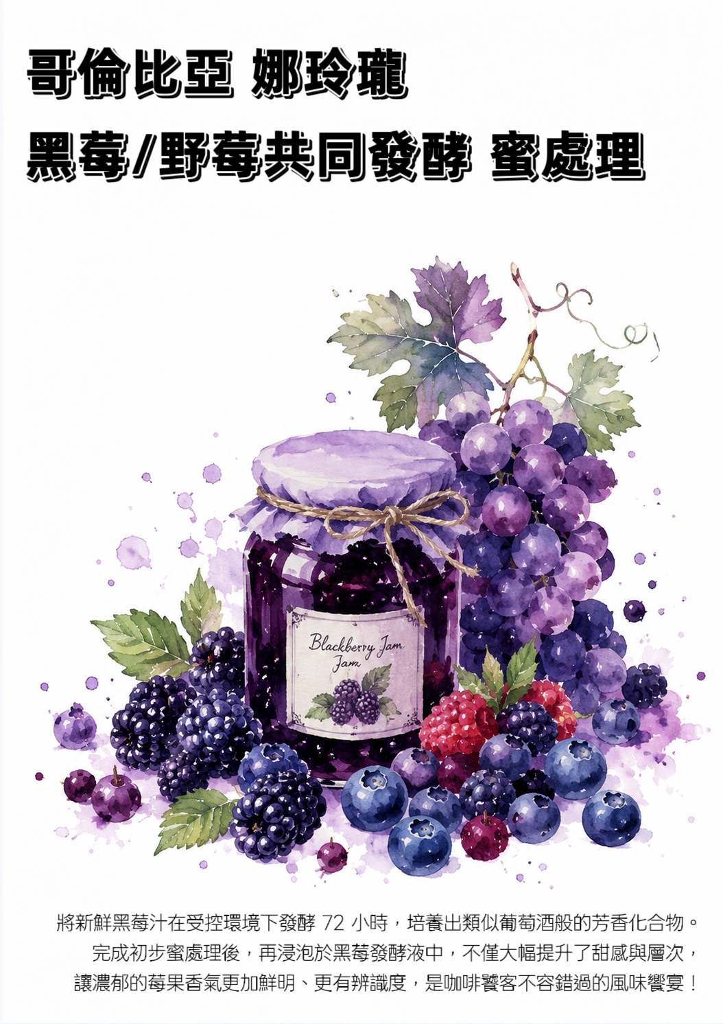 哥倫比亞 娜玲瓏 黑莓/野莓共同發酵 蜜處理