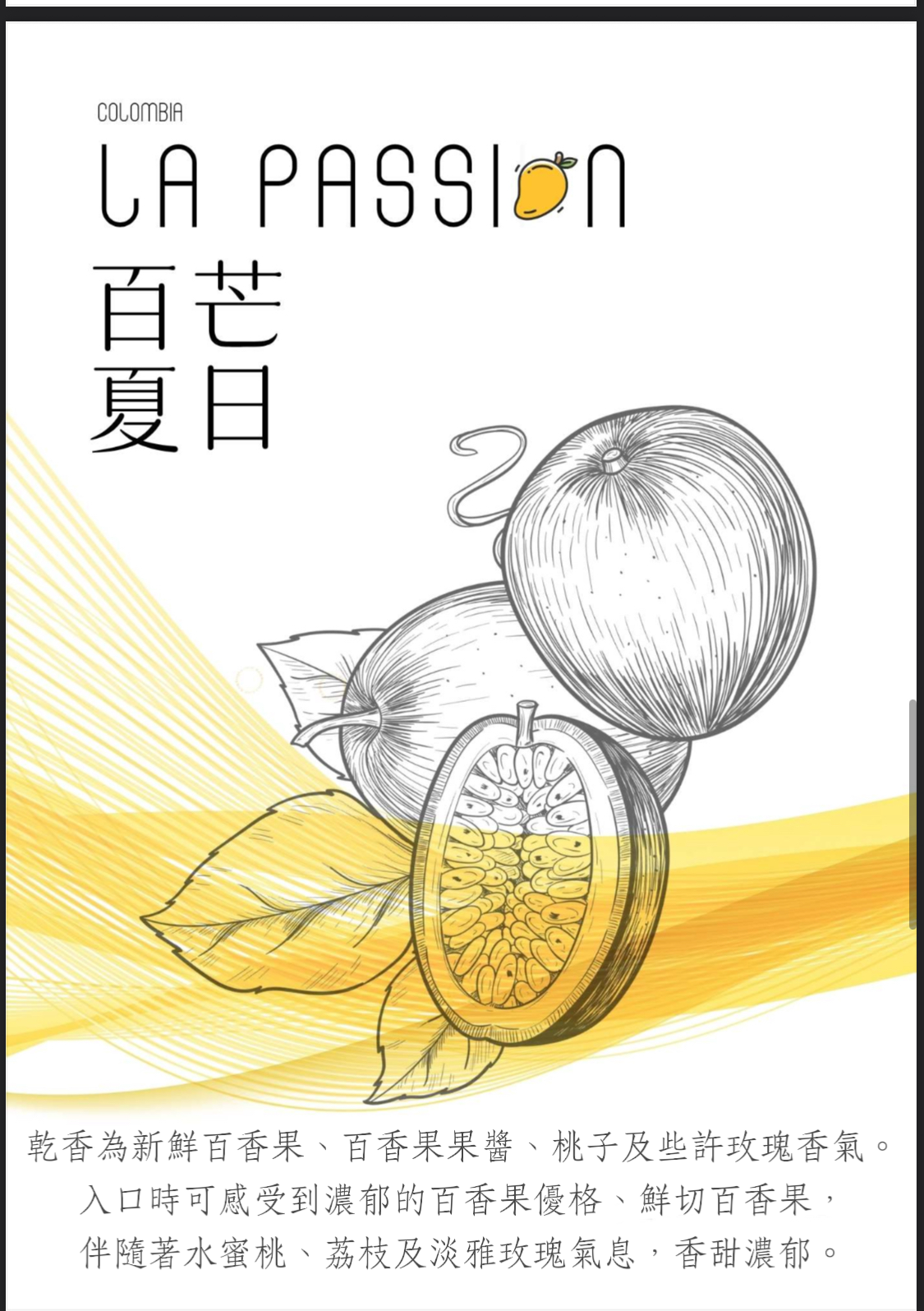 哥倫比亞 金迪歐 百芒夏日 熱帶水果酵母 水洗處理