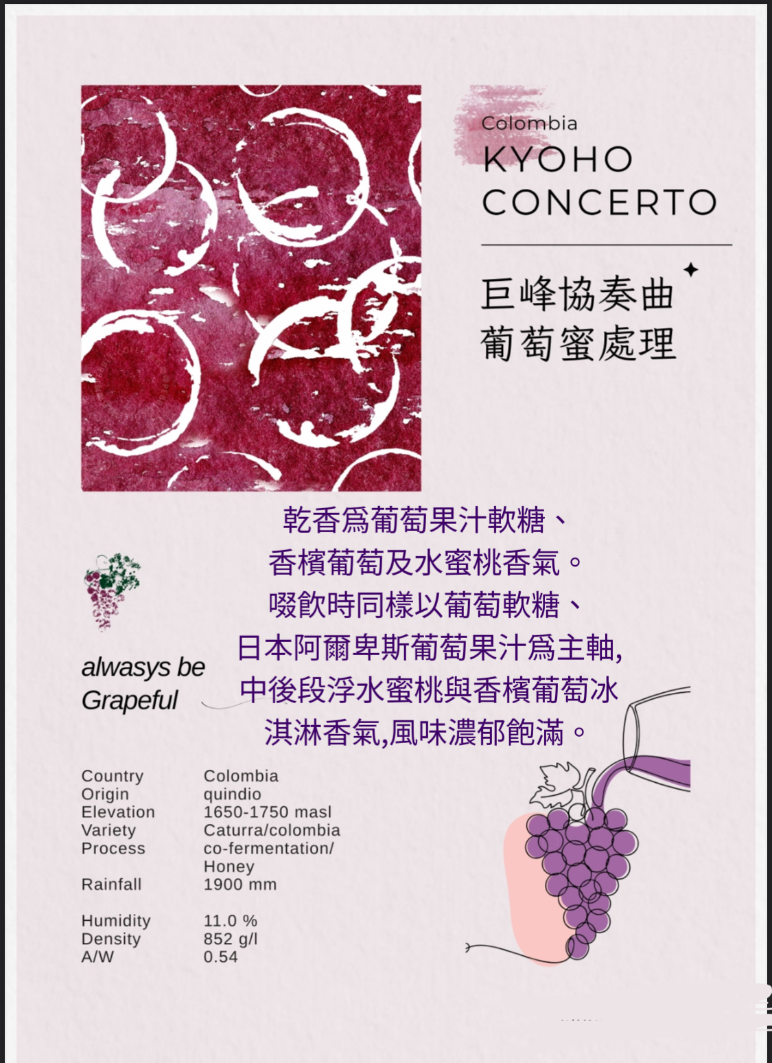 哥倫比亞 金迪歐 巨峰協奏曲 葡萄水果酵母 蜜處理